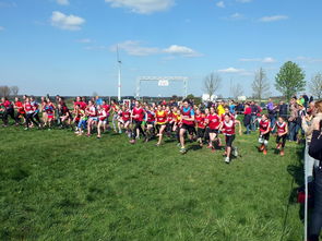 开云体育在线下载-全国青少年劳动体育竞赛各项赛事激烈进行，全国青少年劳动体育竞赛各项赛事激烈进行的原因