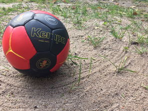 开云体育娱乐-英超球队基于运动表现数据调整赛中体能分配策略，英超球队规则